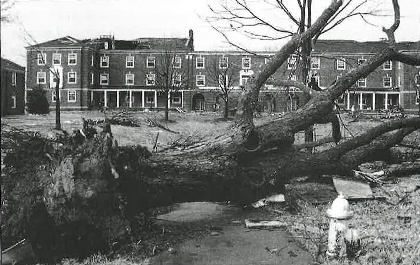 的褐变, 克莱门特, Harned, 如图所示, Harvill and Archwood buildings were badly damaged during a Jan. 22, 1999, tornado that ripped through Clarksville.